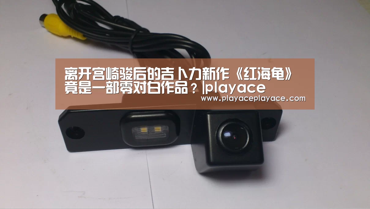 离开宫崎骏后的吉卜力新作《红海龟》竟是一部零对白作品？|playace